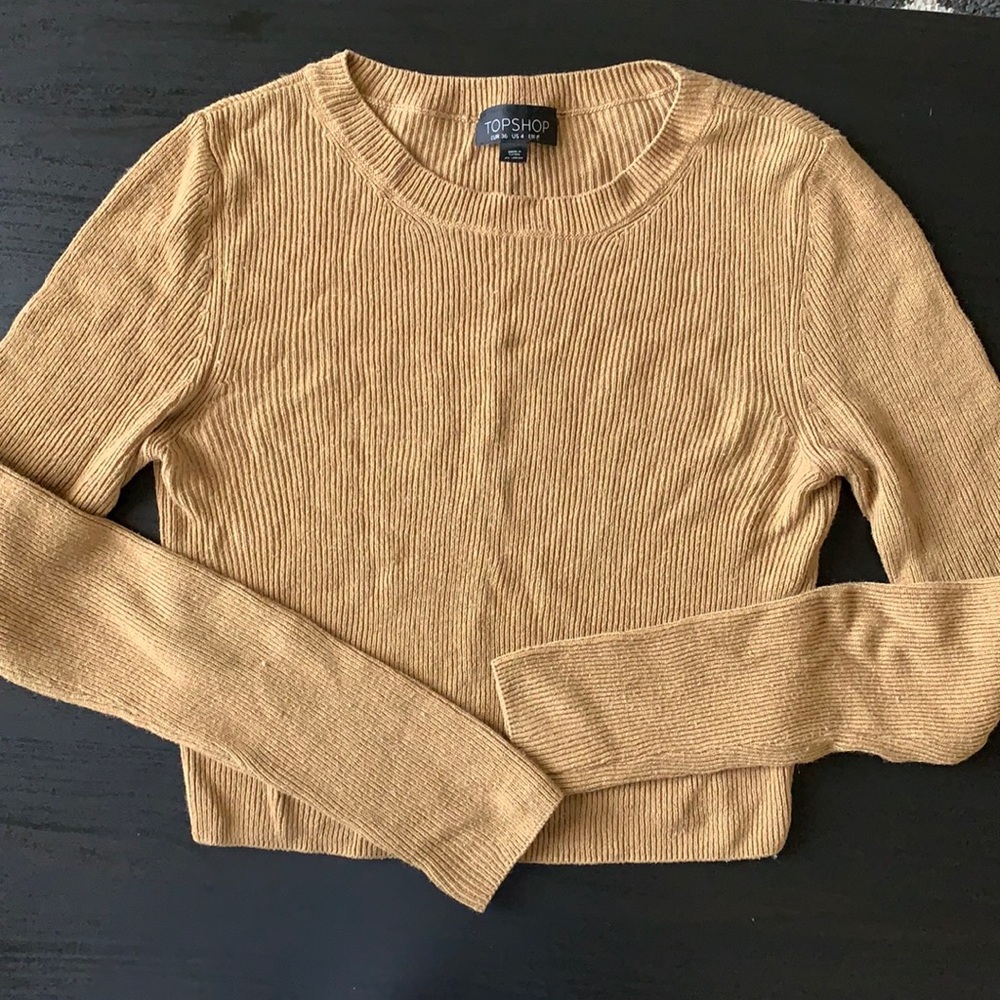 Topshop Cropped Sweater